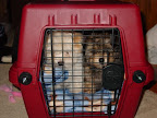 travel_crate